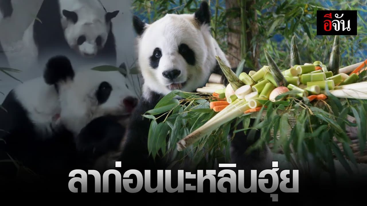 🎬 ลาก่อนนะ หลินฮุ่ย