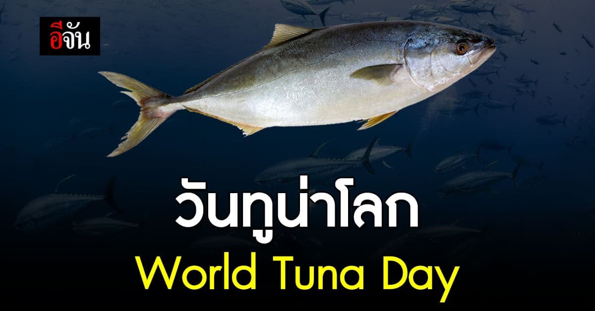 2 พฤษภาคม วันทูน่าโลก World Tuna Day