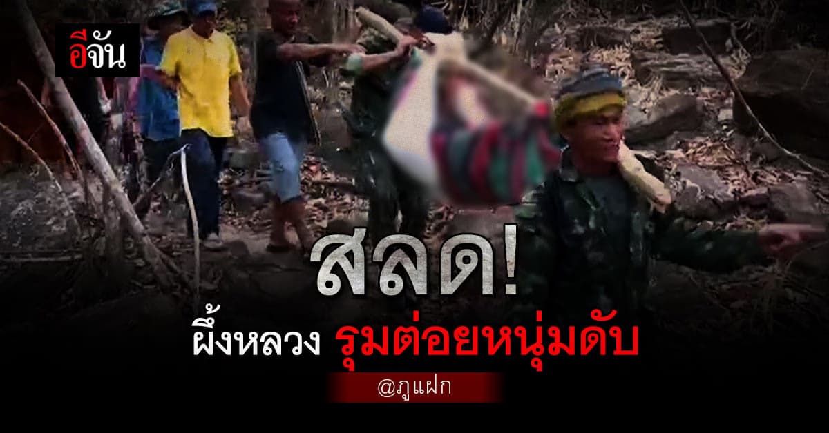 หนุ่มใหญ่ เข้าป่า เก็บน้ำผึ้ง ถูก ฝูง ผึ้งหลวง รุมต่อย ดับ คาภูแฝก