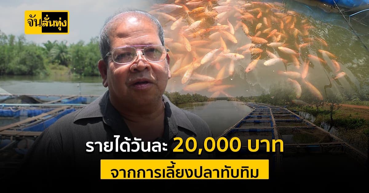 ข้าราชการบำนาญ เลี้ยงปลาทับทิม สร้างรายได้ต่อวัน 20,000 บาท