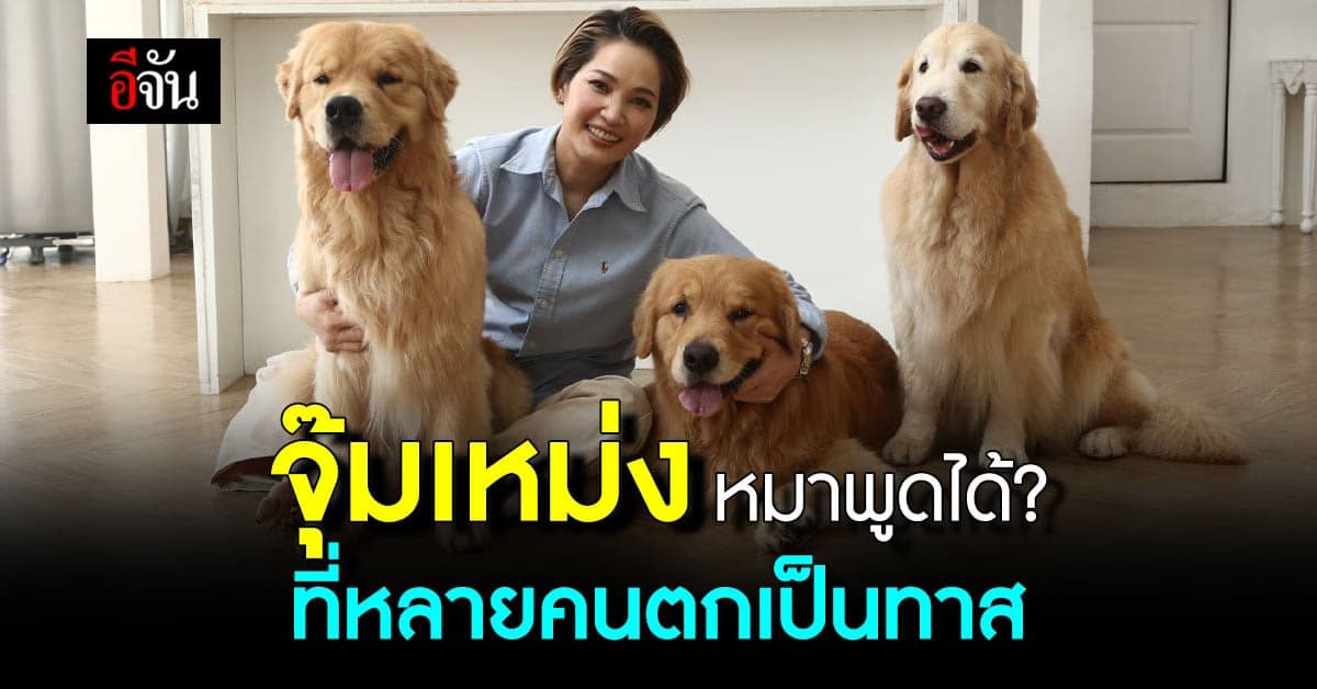 รู้จัก พี่แป้นผู้อยู่เบื้องหลัง จุ๊มเหม่ง หมาที่สร้างความสุขให้ทุกคน