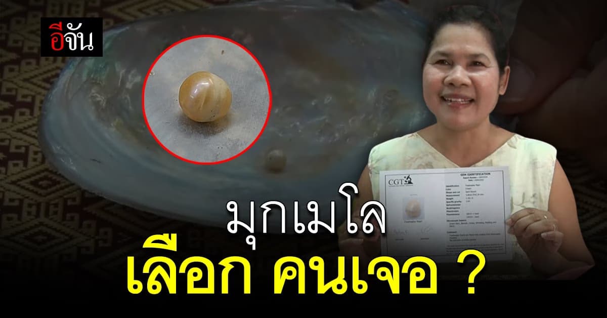 โชคตอบแทน ผจก.สถานสงเคราะห์ ซื้อหอยเลี้ยงเด็ก ก่อนเจอมุกเมโล ลายสวย