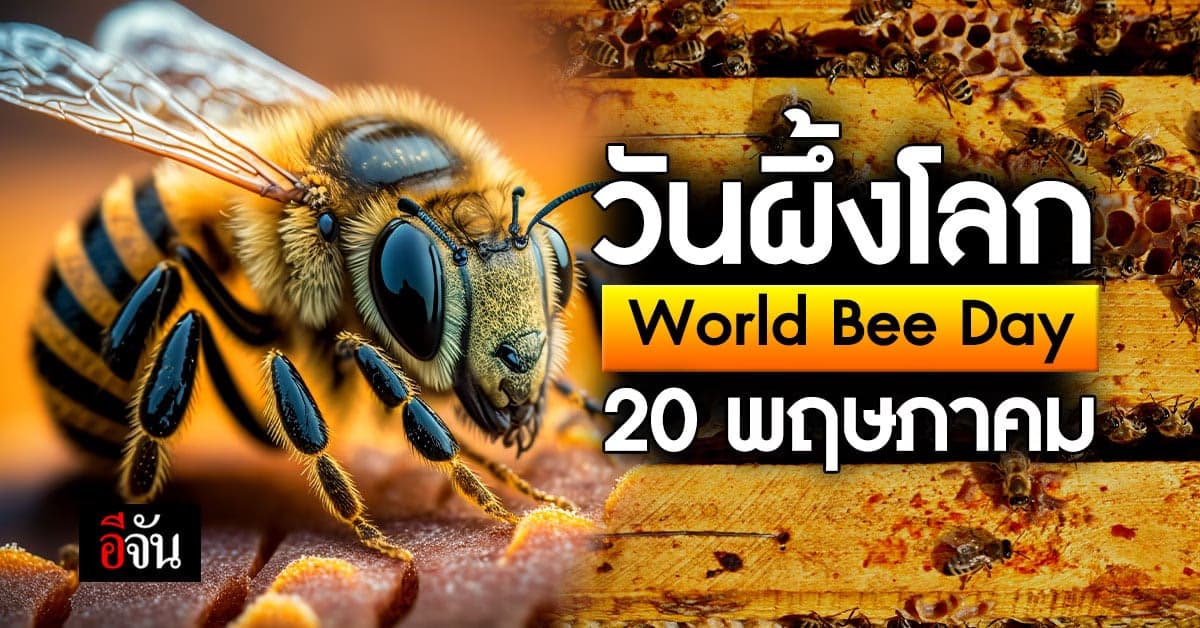20 พฤษภาคม วันผึ้งโลก World Bee Day