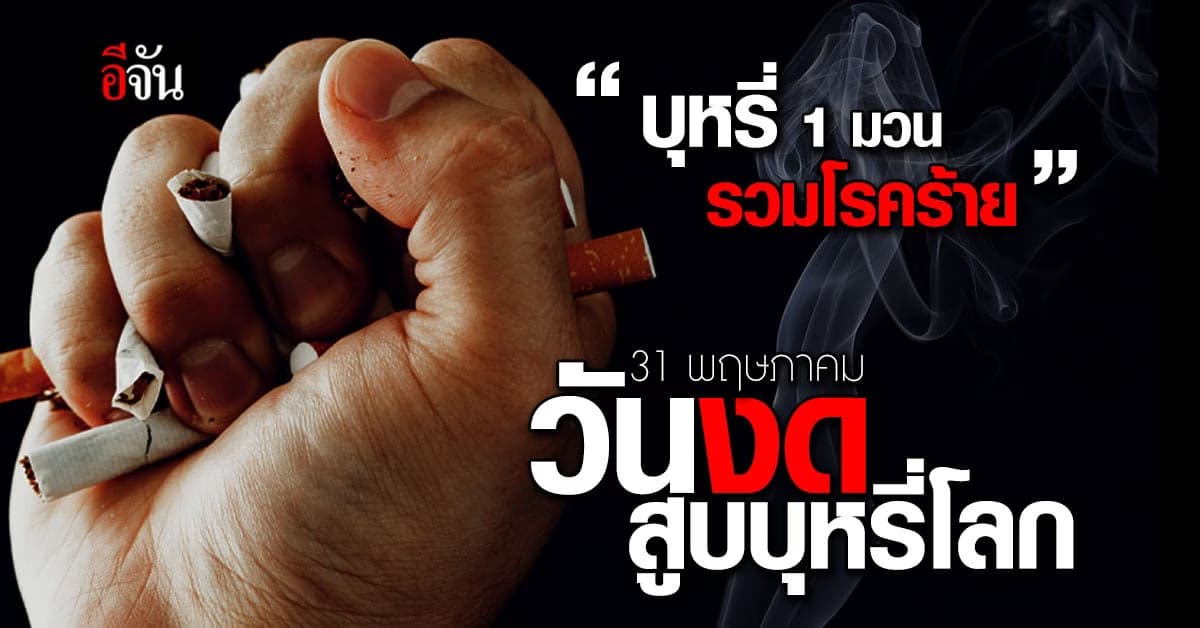 31 พฤษภาคม วันงดสูบบุหรี่โลก