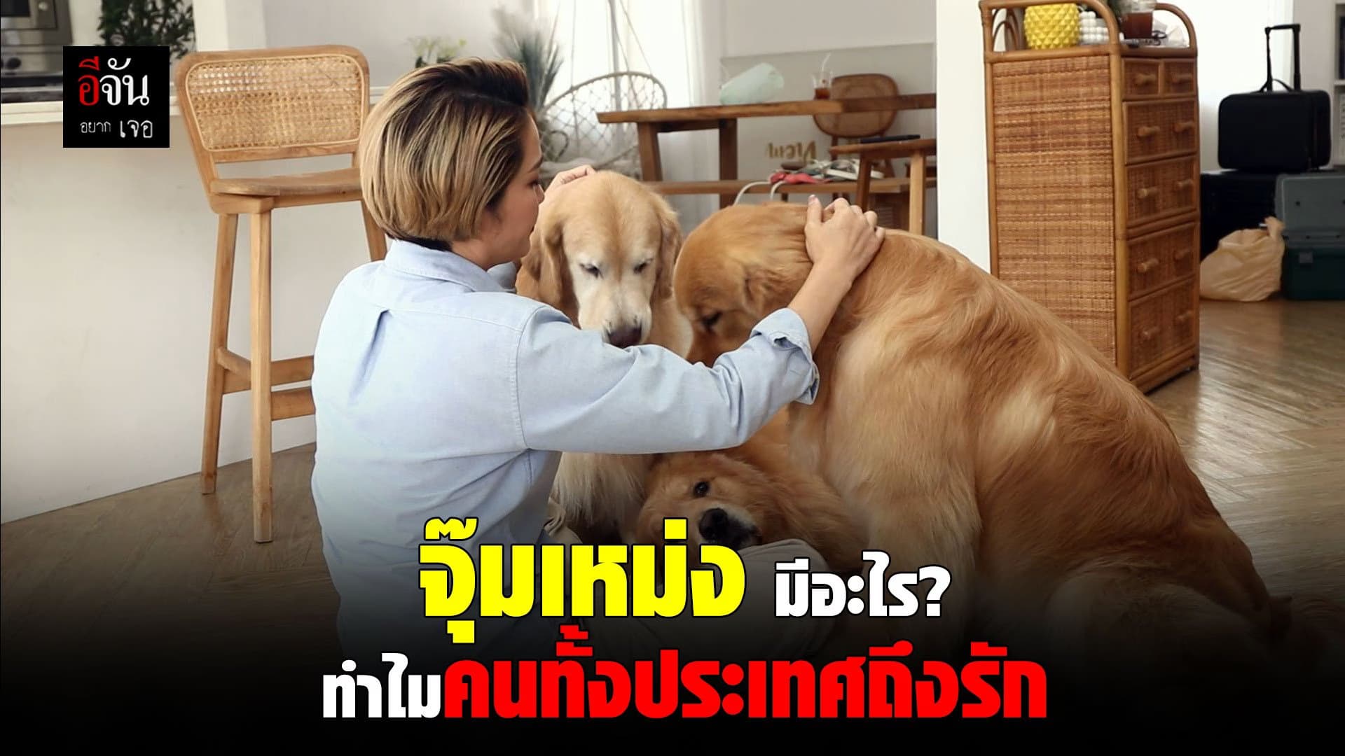 🎬จุ๊มเหม่ง มีอะไร ทำไมคนถึงรัก