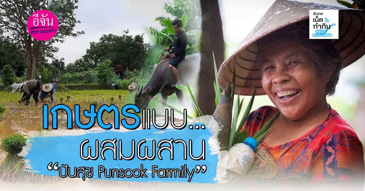 ปังมาก! เปิดเพจเฟซบุ๊ก “ปันสุข Punsook Farmily” ทำให้คนรู้จักเพิ่ม