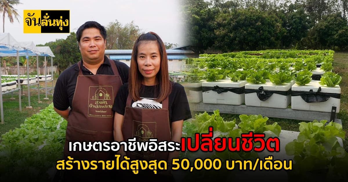 อดีตพนักงานประจำ ออกจากงาน มาปลูกผักสลัด สร้างรายได้