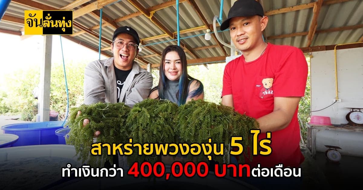 เปลี่ยนชีวิตแม่ค้า เปลี่ยนที่ดิน 5 ไร่ สร้างเงินกว่า 400,000 บาท
