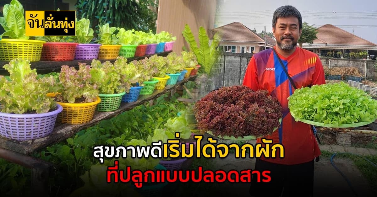 หนุ่มวัย45 ใช้พื้นที่หน้าบ้าน หันปลูกผักรักษาสุขภาพ สร้างได้รายดี