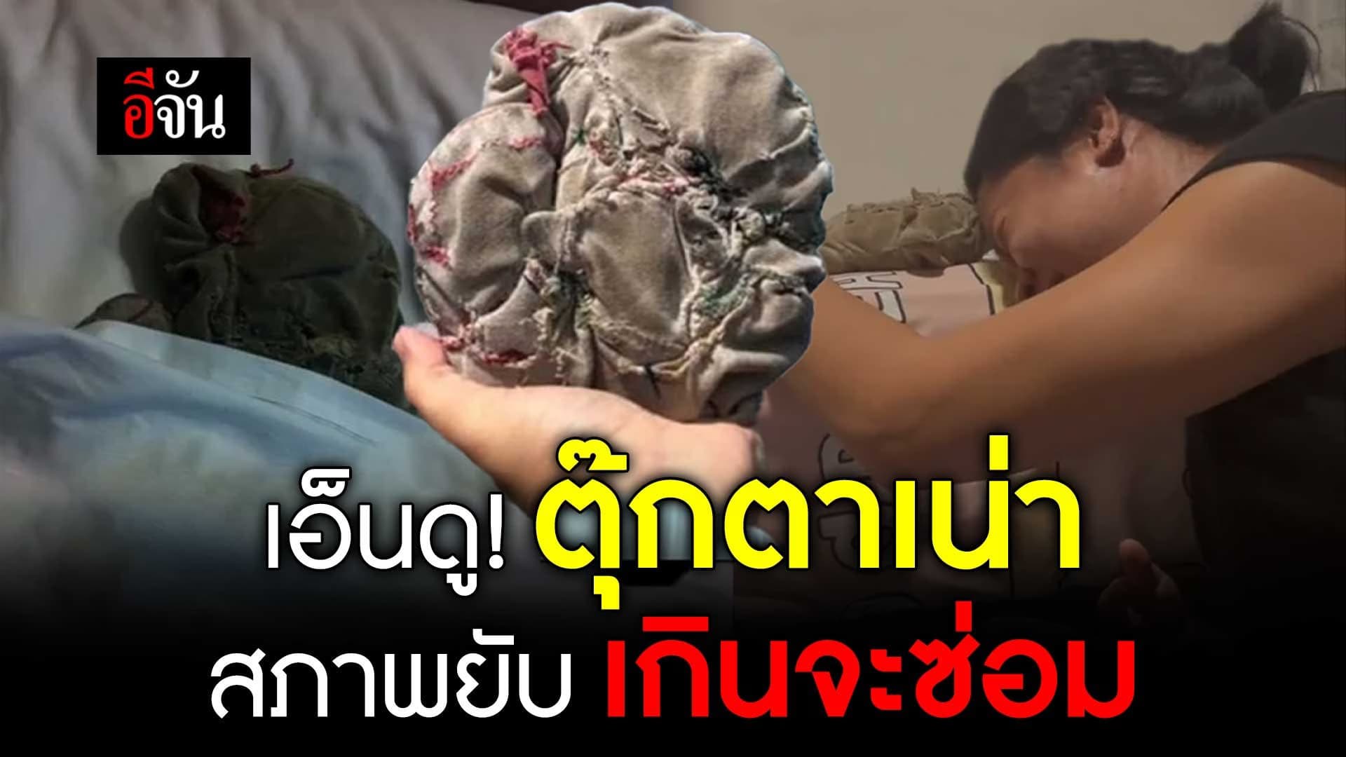 🎬 เอ็นดู! ตุ๊กตาเน่า สภาพยับ เกินจะซ่อม