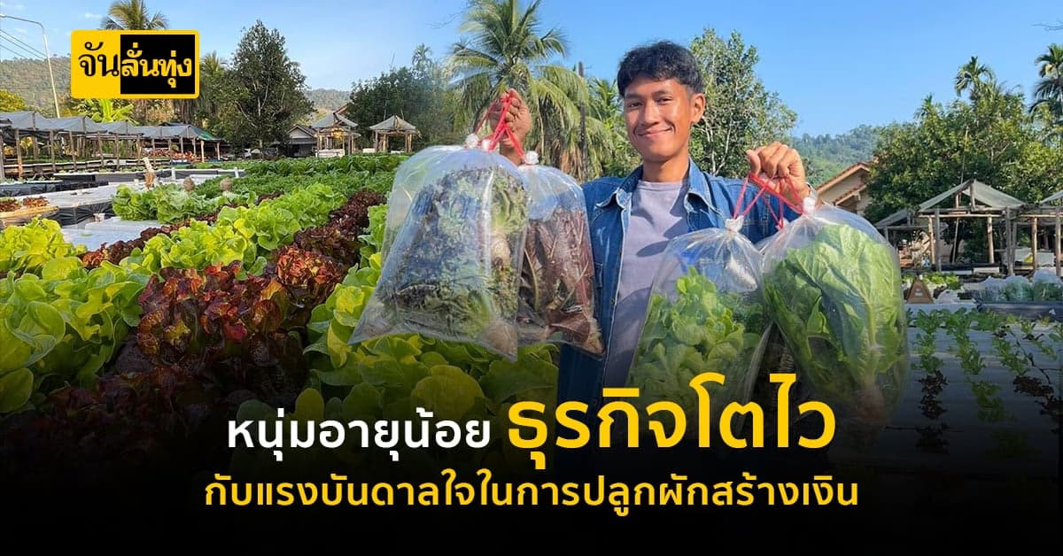 ลงมือทำเพราะใจรัก! ปลูกผักสลัดในลังโฟม สร้างรายได้หลักหมื่น