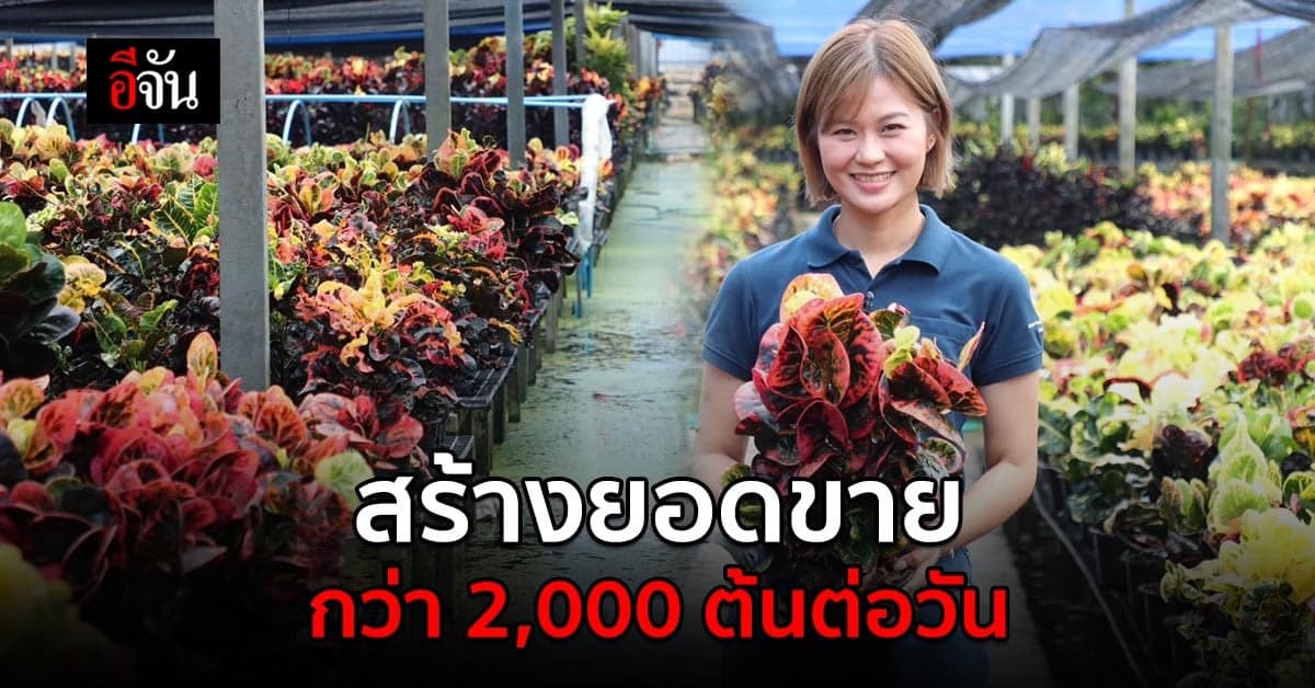 นำความรู้จากงานประจำมาพัฒนา สร้างยอดขายกว่า 2,000 ต้นต่อวัน