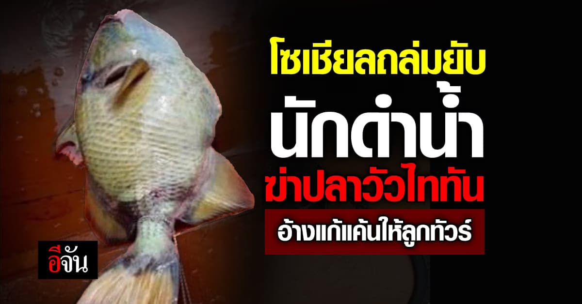 นักดำน้ำ ขอโทษ หลังโพสต์ฆ่า ปลาวัวไททัน เพราะโดนกัด