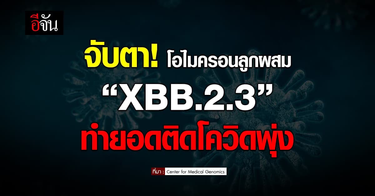 จับตา! โอไมครอนลูกผสม “XBB.2.3” ทำยอดติดโควิดพุ่ง