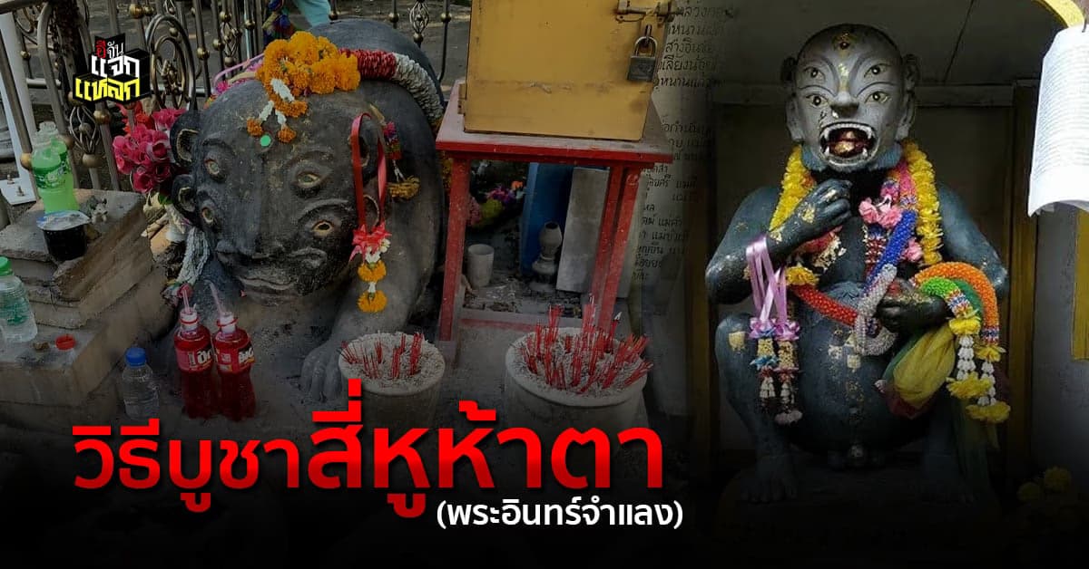 เปิดตำนานแมงสี่หูห้าตา กินถ่านไฟ ถ่ายเป็นทอง ใครบูชามีแต่ราย