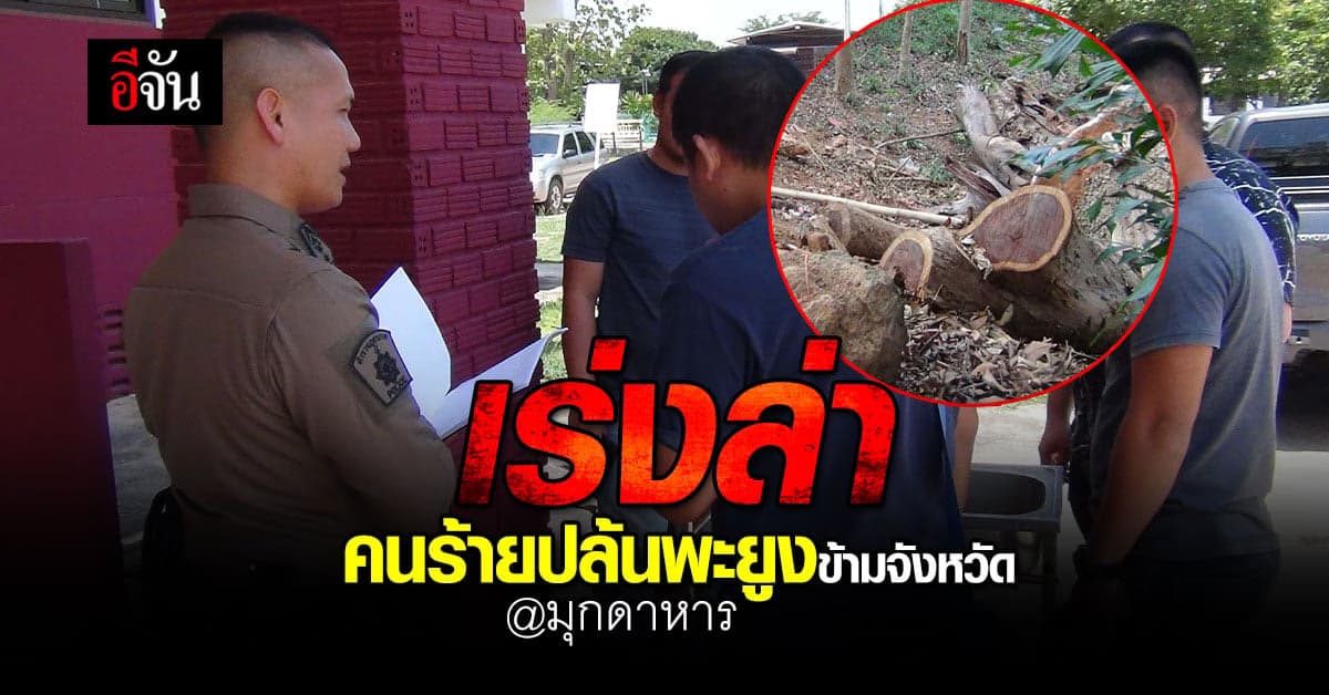 ตร. เร่งล่าตัว คนร้าย ปล้นไม้พะยูง จาก สวนพฤกษศาสตร์ ดงมะอี่ ร้อยเอ็ด