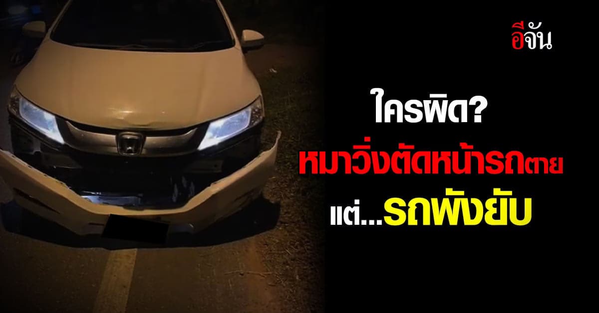 เถียงเดือด! หมาวิ่งตัดหน้ารถ ตายคาที่ รถพังยับ เจ้าของหมาไม่รับผิดชอบ?