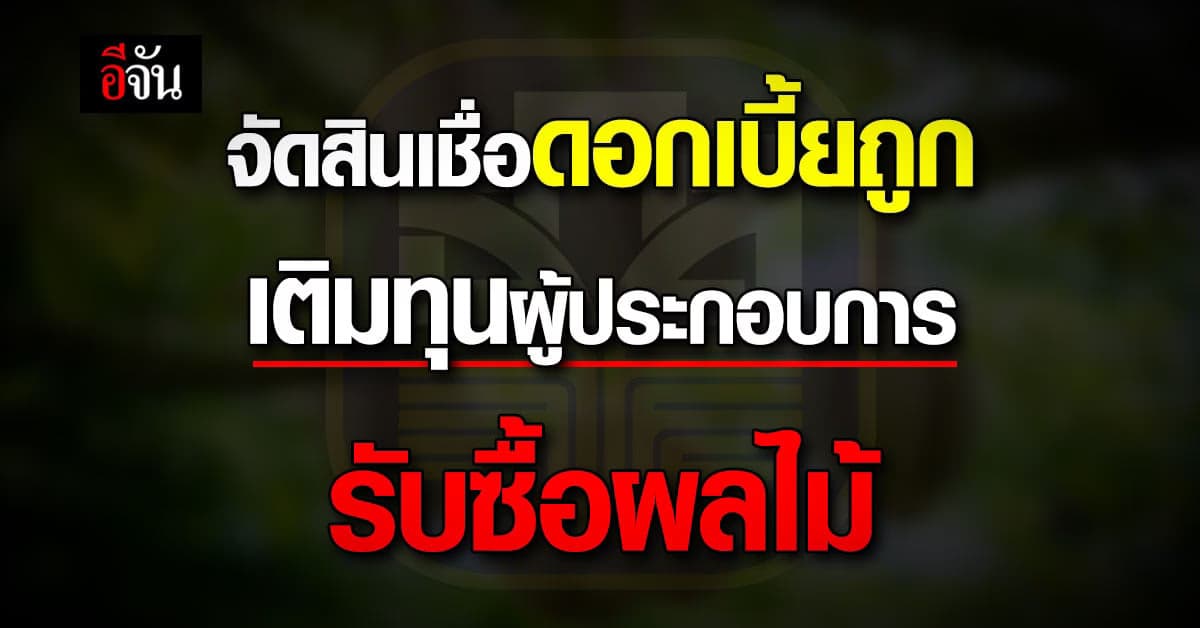 ธ.ก.ส. จัดสินเชื่อดอกเบี้ยถูก ให้ผู้ประกอบการมีเงินทุน รับซื้อผลไม้
