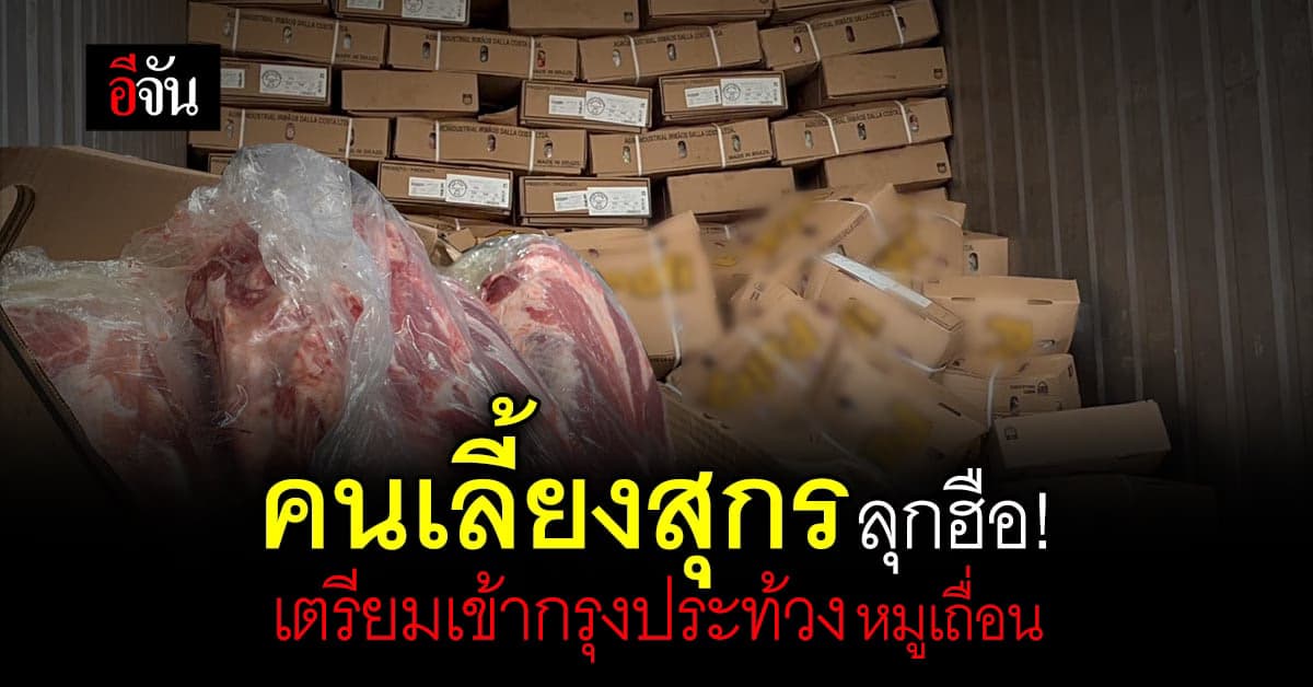 ผู้เลี้ยงหมูขอไม่ทน รวมตัวเข้ากรุงประท้วงรัฐบาล หมูเถื่อนทำทุกข์
