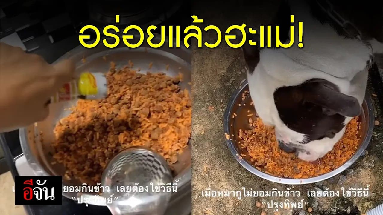 🎬 อร่อยแล้วฮะแม่!