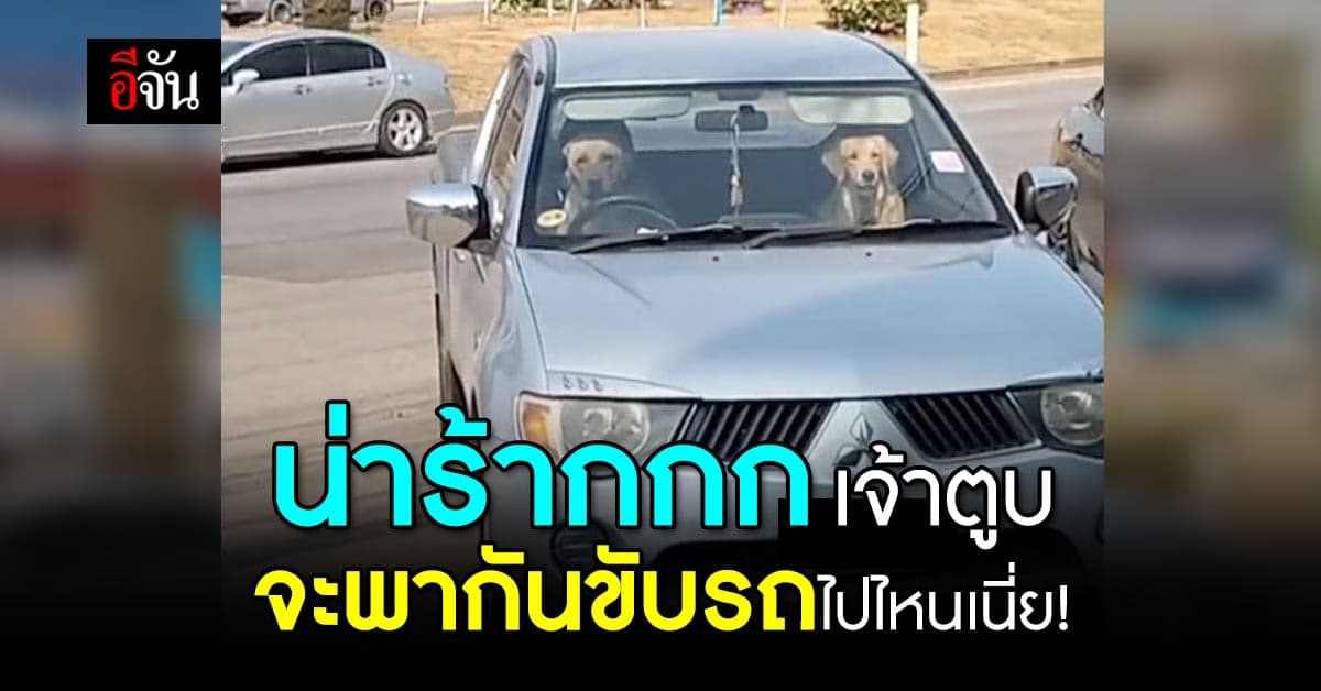 สุดน่ารัก! ชาวเน็ตโพสต์คลิปเจ้าตูบ นั่งอยู่ในรถเหมือนเตรียมพากันเที่ยว