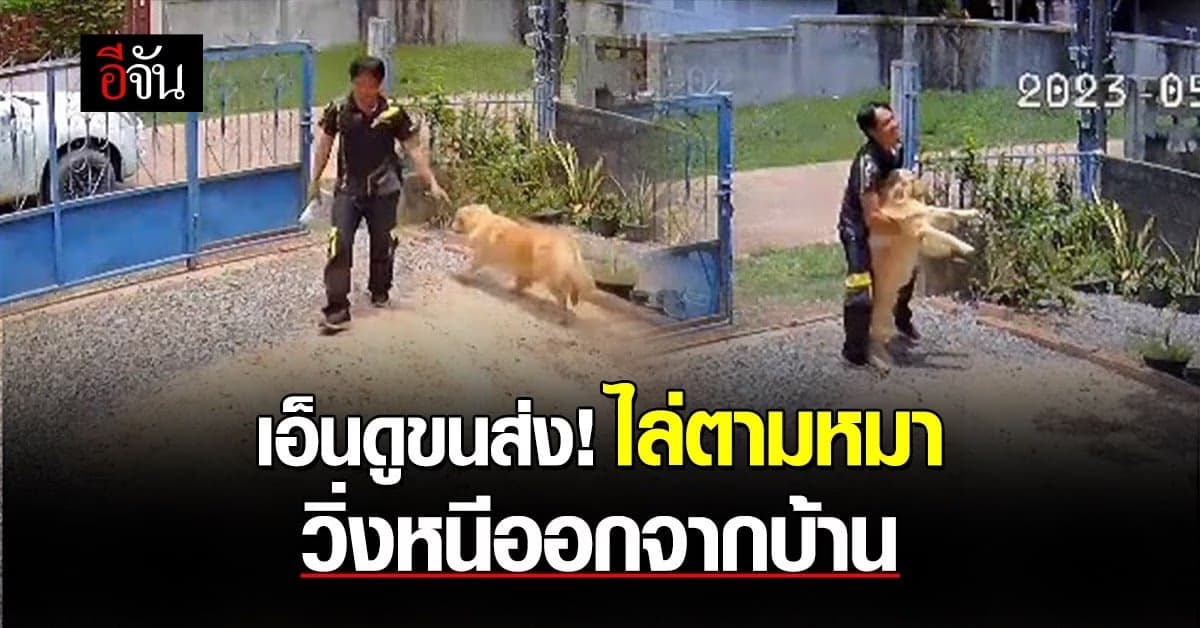 สุดเอ็นดู พนักงานส่งของวิ่งตามหมา หนีออกจากบ้าน