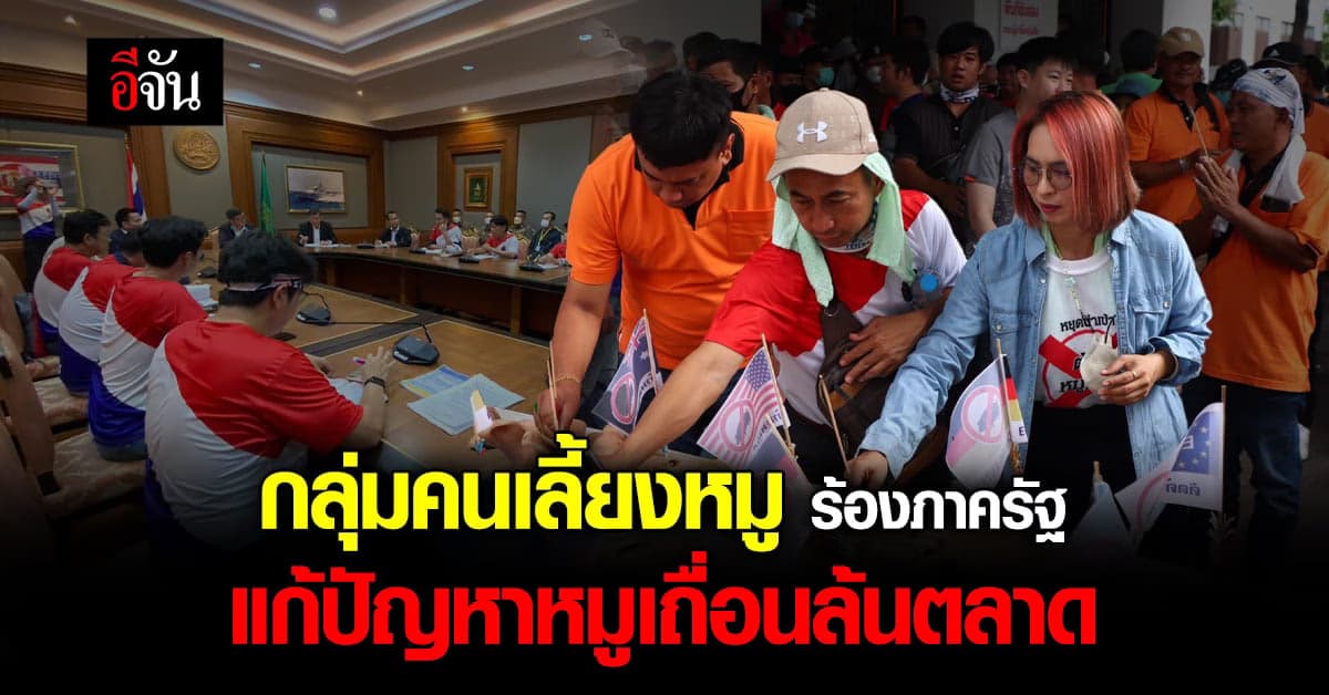 กลุ่มเกษตรกร ผู้เลี้ยงหมู ร้อง ภาครัฐ แก้ปัญหา หมูเถื่อน ล้นตลาด