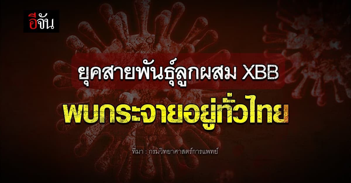 กรมวิทย์ฯ เผยพบผู้ติดเชื้อโควิดสายพันธุ์ลูกผสม XBB กระจายทั่วไทย