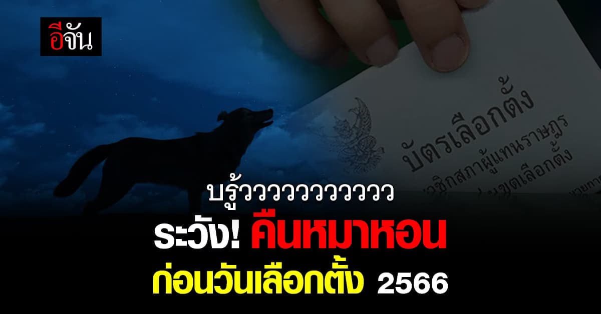 คืนหมาหอน คืออะไร เลือกตั้ง 2566