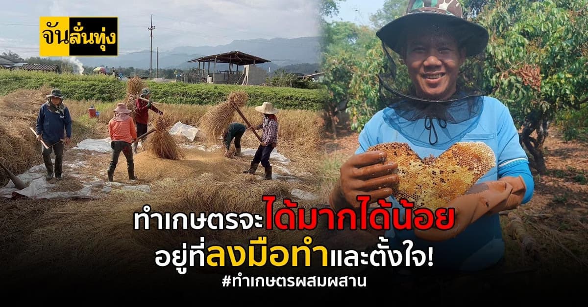 ทำเกษตรไม่มีคำว่าสาย แค่ตั้งใจและลงมือทำ แถมสร้างรายได้ดี!