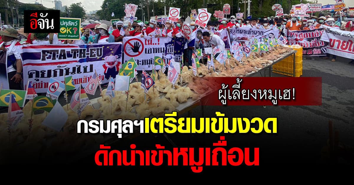 กรมศุลกากร เตรียมวางมาตรการเข้ม ดัก ผู้ ลักลอบ นำเข้าหมูเถื่อน