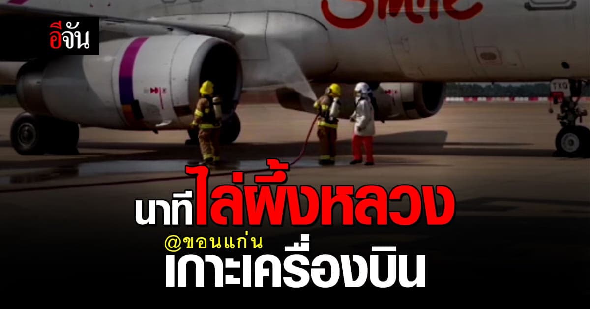 เหตุประหลาด ผึ้งหลวง เกาะเครื่องบิน 2 เที่ยวบิน ต่อยพนักงาน 6 คน
