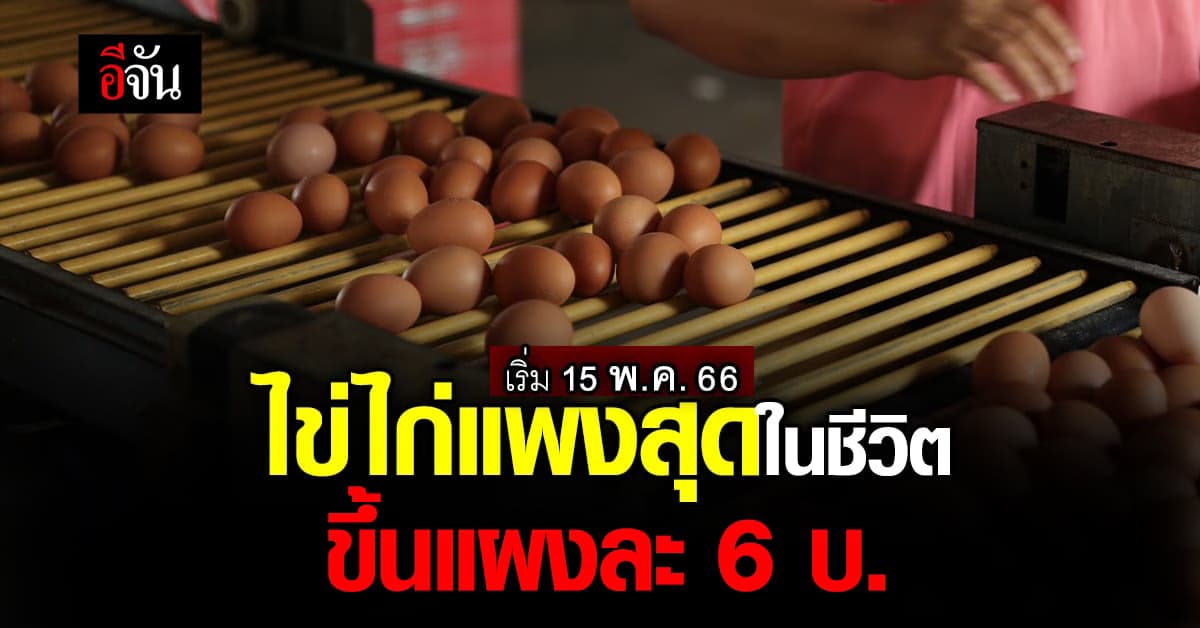 ‘ไข่ไก่’ ขึ้นราคาแผงละ 6 บาท เริ่ม 15 พ.ค.66
