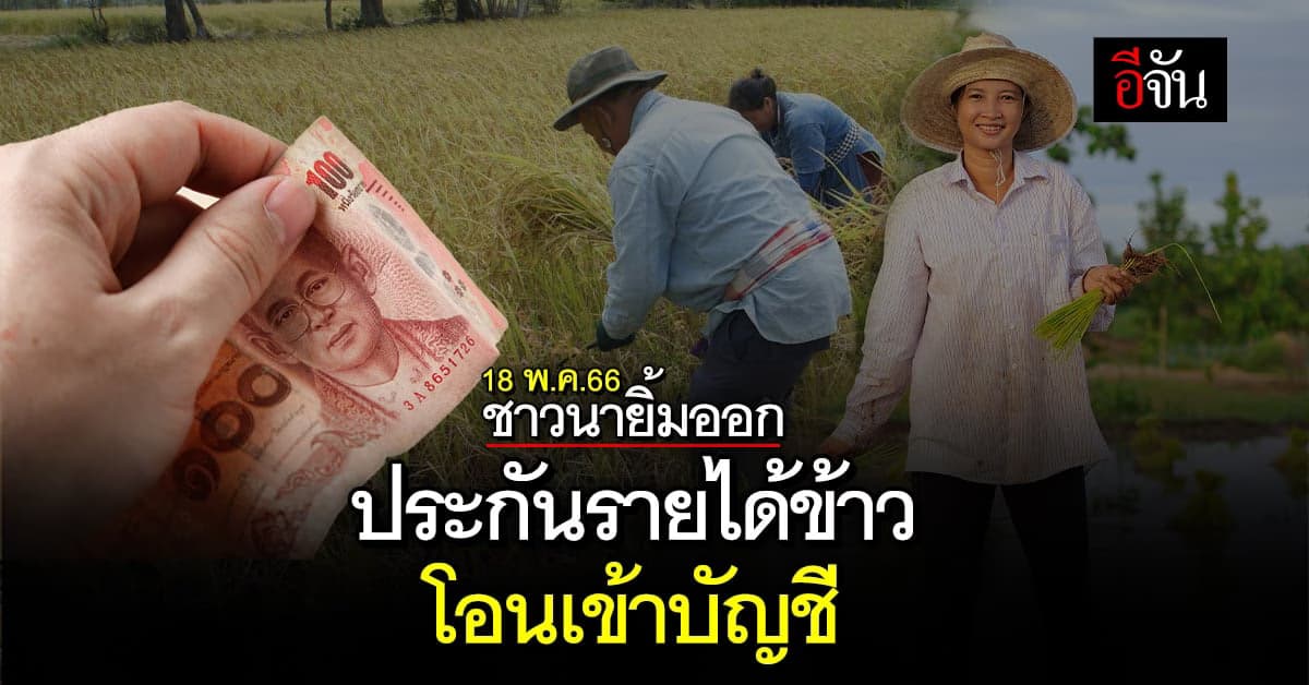 เงินประกันรายได้ข้าว งวด 30-31 โอนเข้าบัญชีชาวนา 18 พ.ค.66