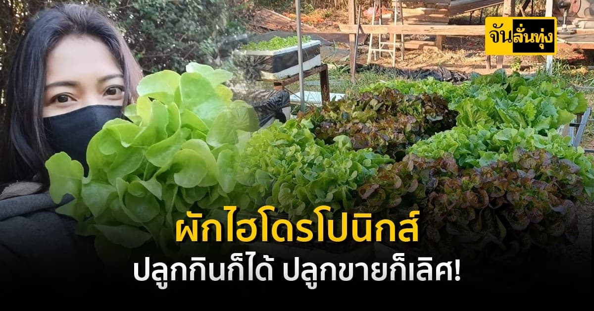 ลงทุนลงใจ ทำฟาร์มปลูกผักไฮโดรฯ จนสร้างรายได้หลักหมื่นต่อเดือน!