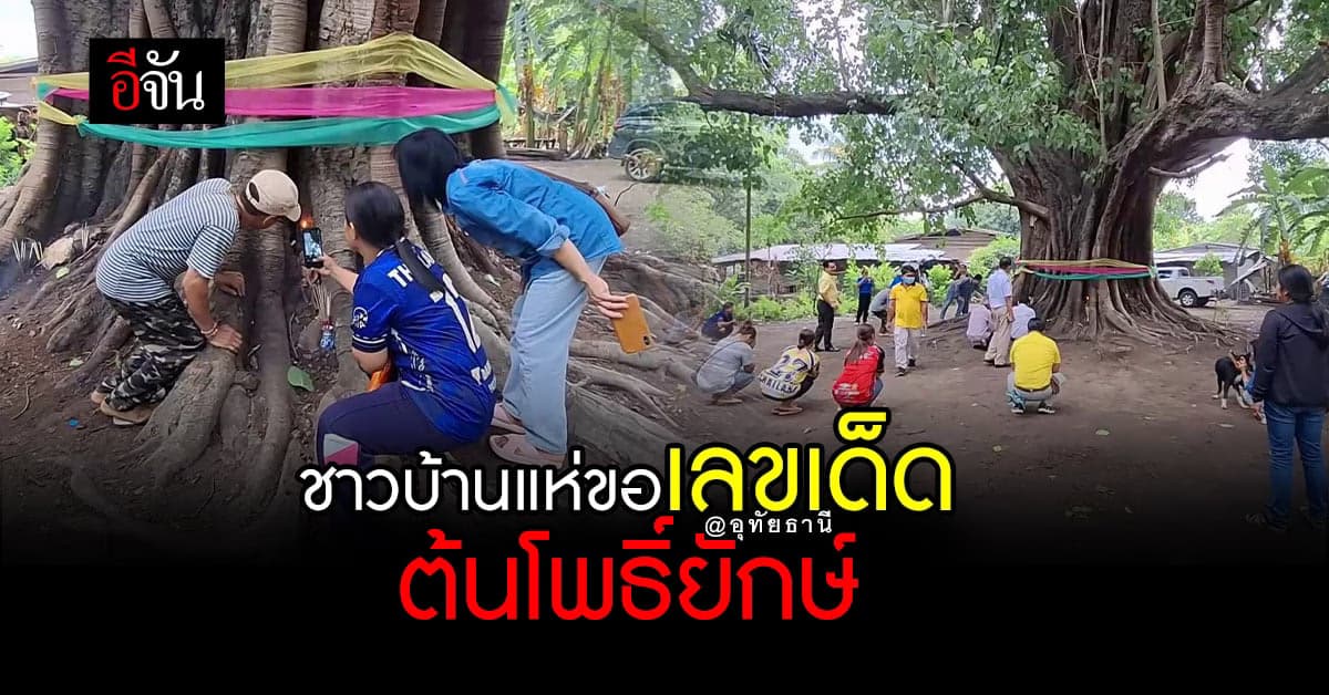 ชาวอุทัยธานี แห่ขอโชคต้นโพธิ์ยักษ์ ได้เลขเด็ดกลับบ้าน