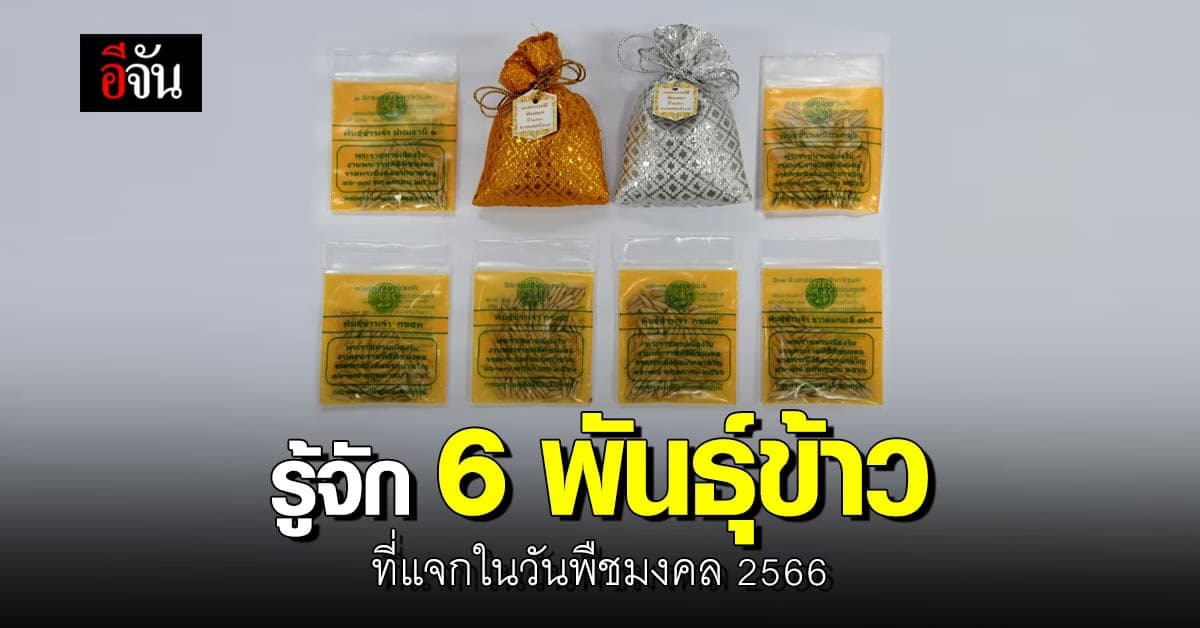 รู้จัก 6 พันธุ์ข้าวที่แจกใน วันพืชมงคล 2566