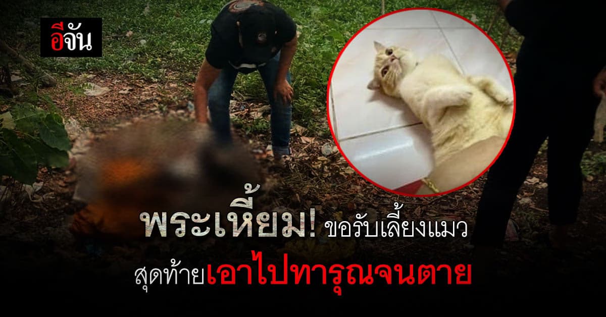 โหดเหี้ยม! พระสงฆ์ขออุปการะลูกแมว แล้วนำไปทารุณจนตายและเผา