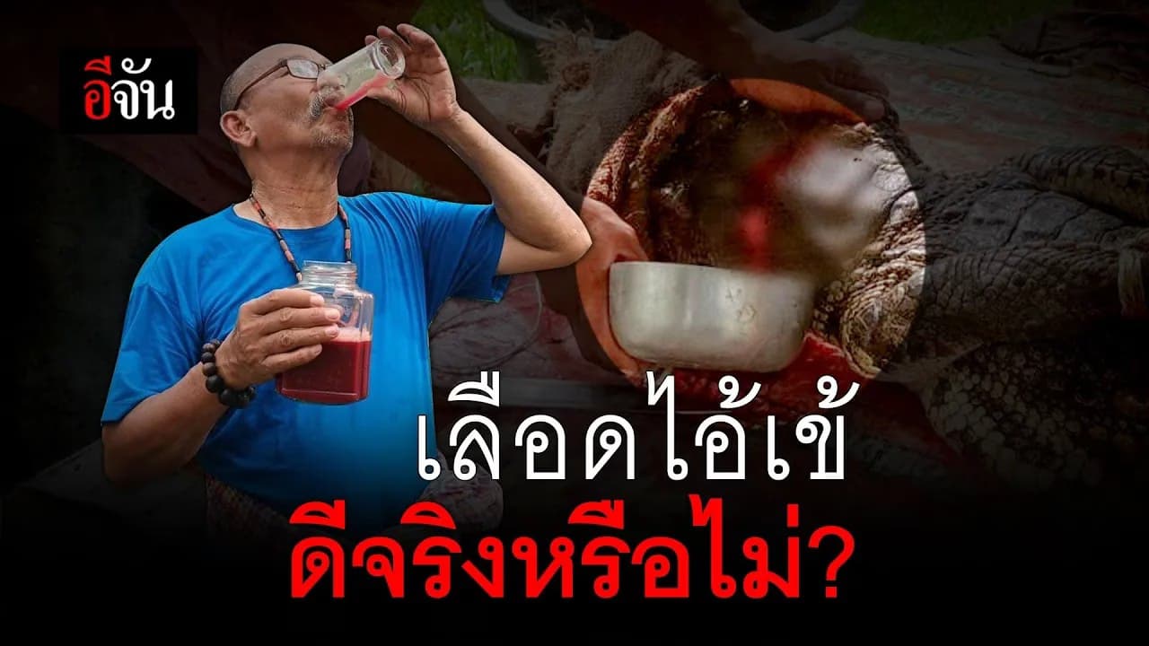 🎬 เลือดจระเข้ ดีจริงหรือไม่?