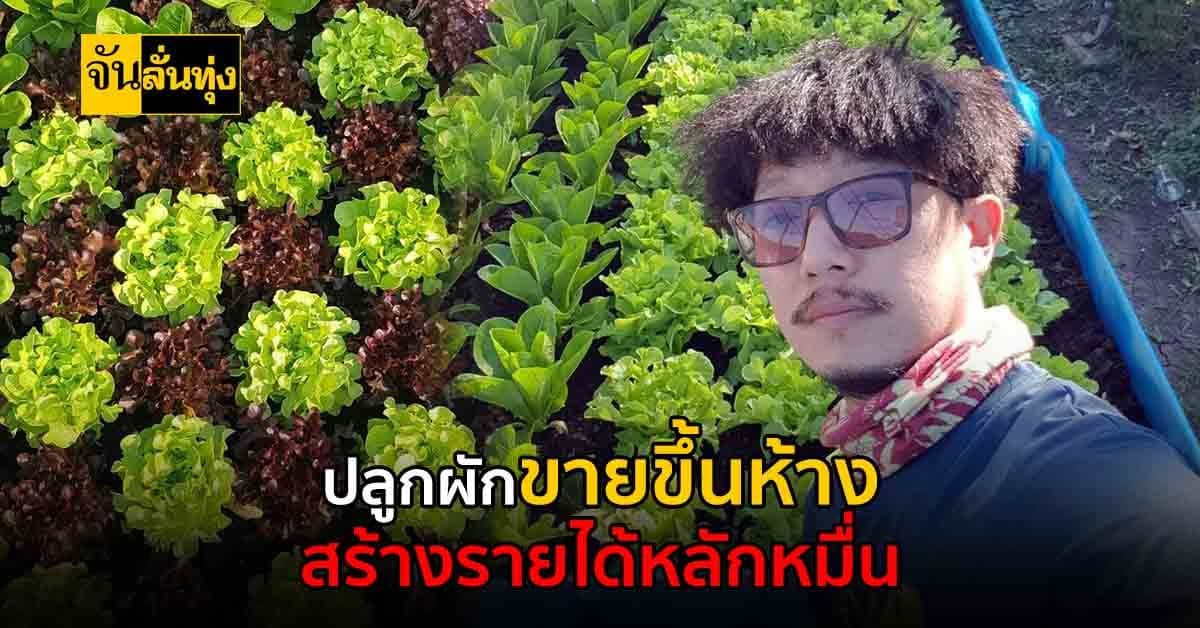 เริ่มจากศูนย์สู่ความสำเร็จ! ปลูกผักสลัด ขายส่งขึ้นห้าง สร้างรายได้