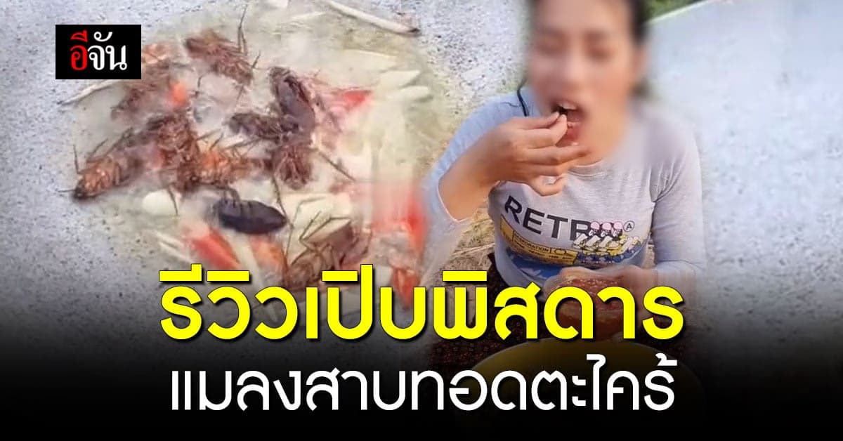 รีวิวชวนอ้วก สาวกินเมนูเปิบพิสดาร แมลงสาบทอดตะไคร้