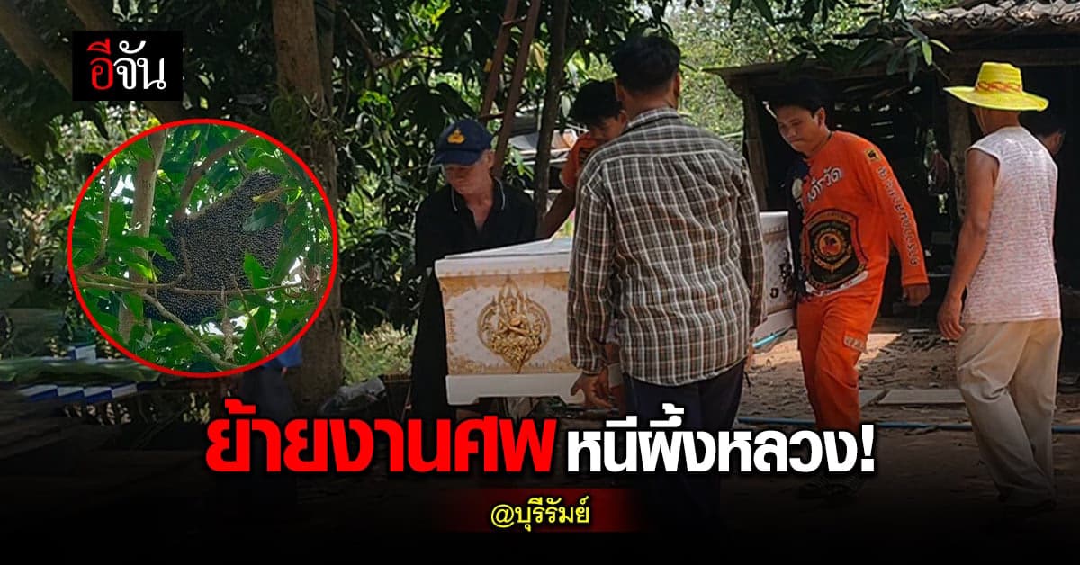 ลูกผวา ผึ้งหลวงยักษ์ ทำรังที่บ้าน ไม่กล้าจัดงานศพพ่อ หวั่น ผึ้งแตกรัง