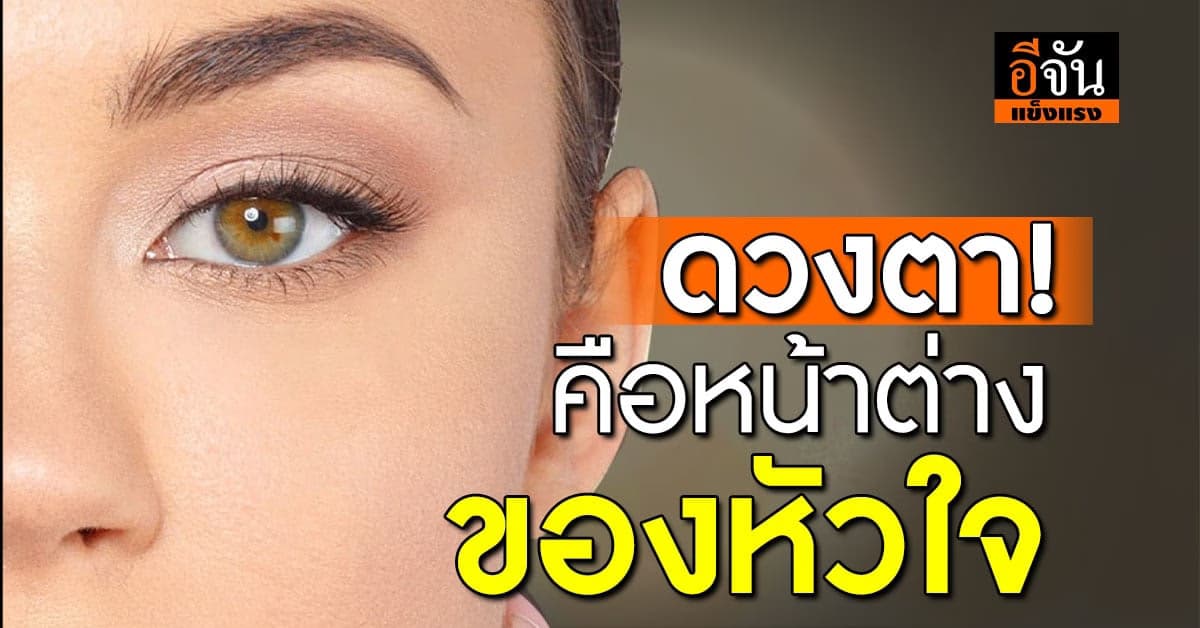 เช็กตาให้เป๊ะ! มองเห็นชัดชีวิตดี