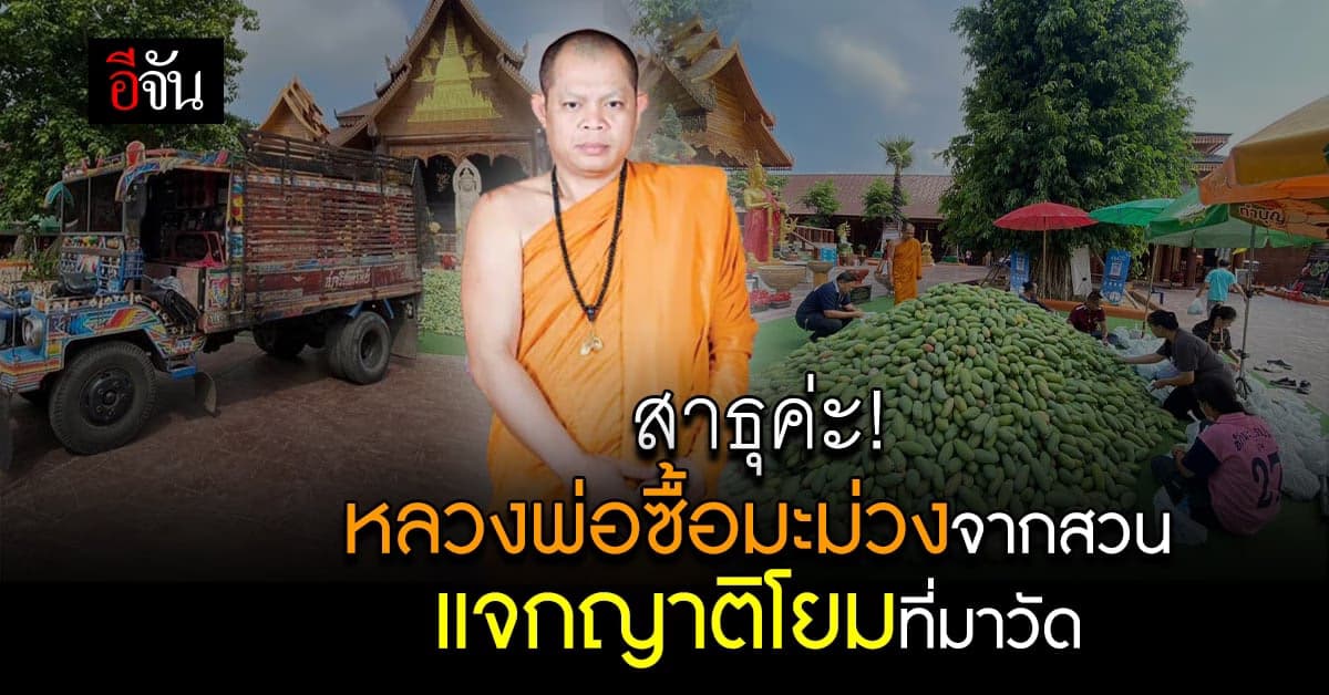 พระดัง วัดป่าวังน้ำเย็น ช่วยซื้อมะม่วง แจกญาติโยม