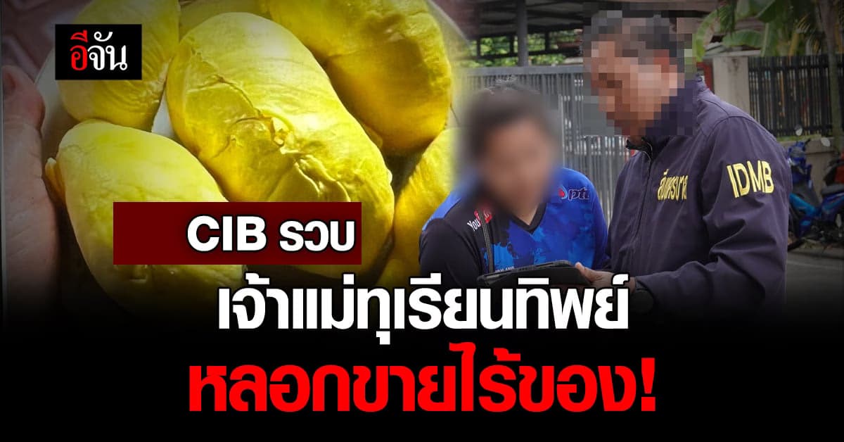 CIB รวบเจ้าแม่ทุเรียนทิพย์ หลอกขายหมอนทองออนไลน์