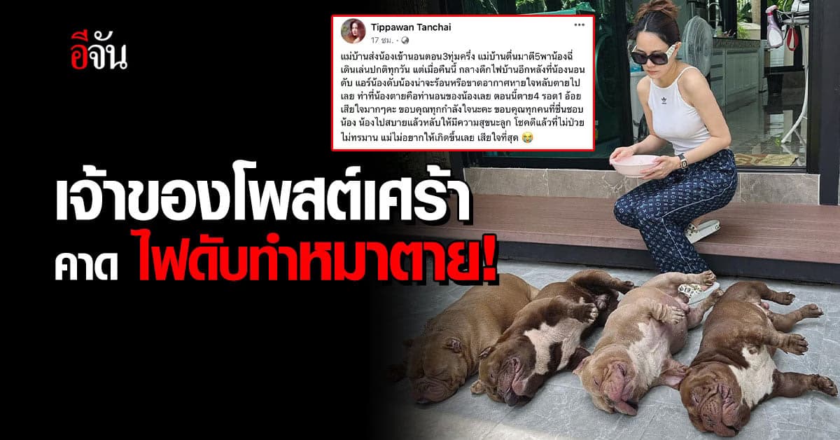 อุทาหรณ์ คนเลี้ยงหมา ไฟดับอาจทำให้หมาตาย