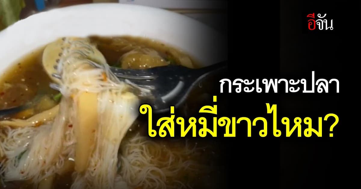 กระเพาะปลา ใส่หมี่ขาวไหม?  โซเชียลถกสนั่นปกติมีเส้นหรือไม่มี