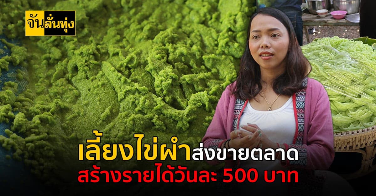 จบปริญญาตรีนำความรู้พัฒนาเกษตรบ้านเกิด สร้างเงินจากการเลี้ยงไข่ผำ