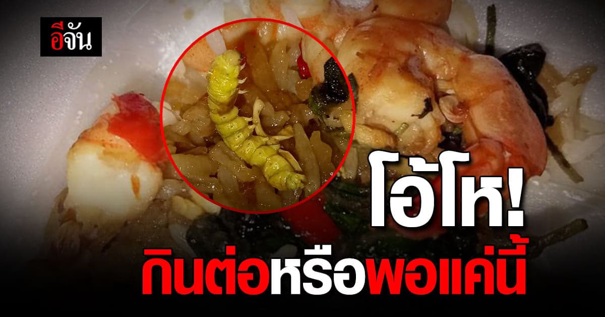 แทบอ้วก กินข้าวกะเพรากุ้งจนจะหมดกล่อง เหลือบไปเห็นหนอน