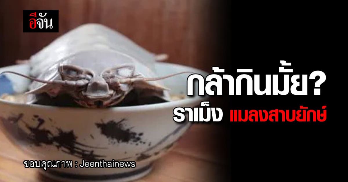 กล้ากินมั้ย? ราเม็ง แมลงสาบยักษ์ เมนูสุดแปลก ไอเดียใหม่ในไต้หวัน